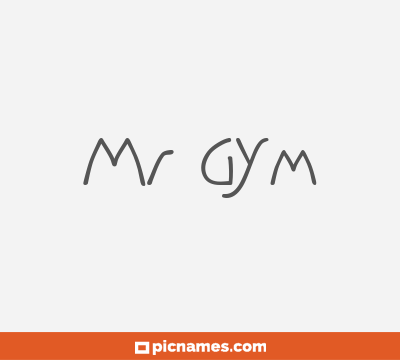 Mr Gym